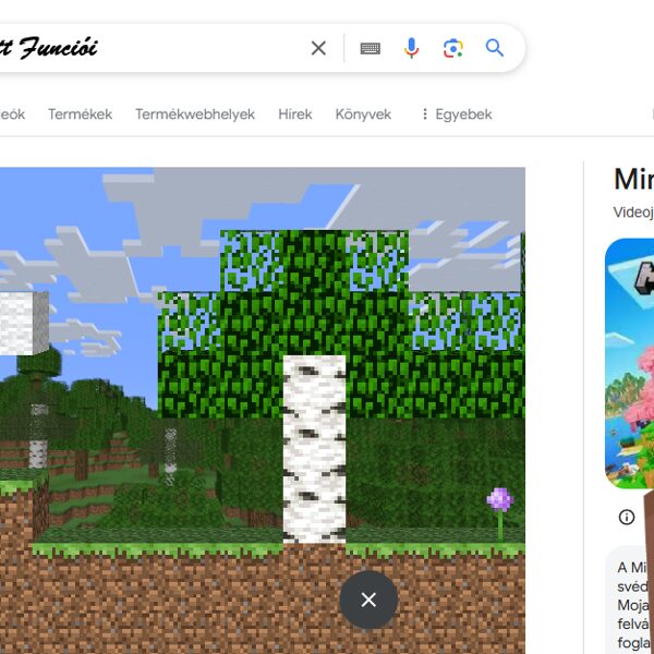 Az Internet világa